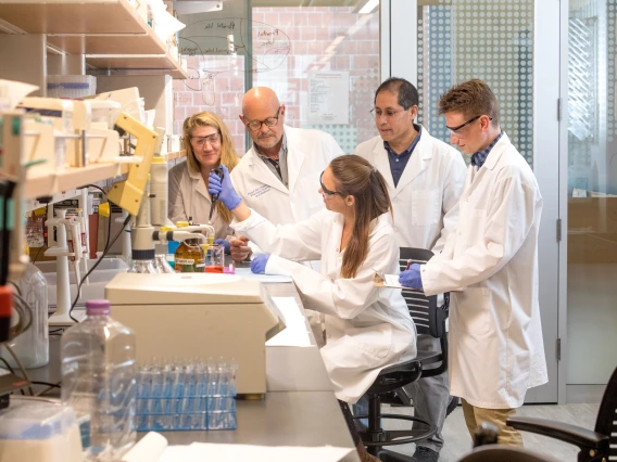 Researchers at work in Floyd "Ski" Chilton's lab.