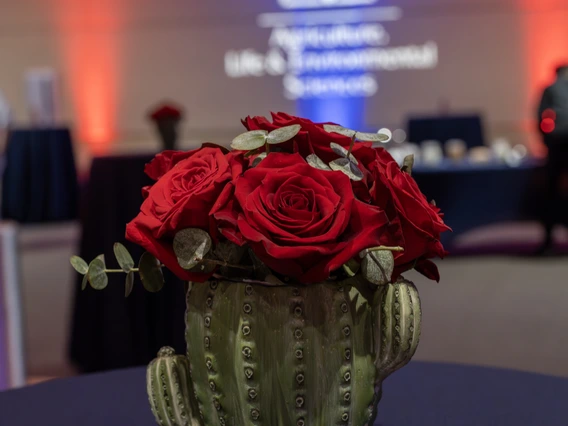 Cactus table decoration at the 2025 ALVSCE Awards Night