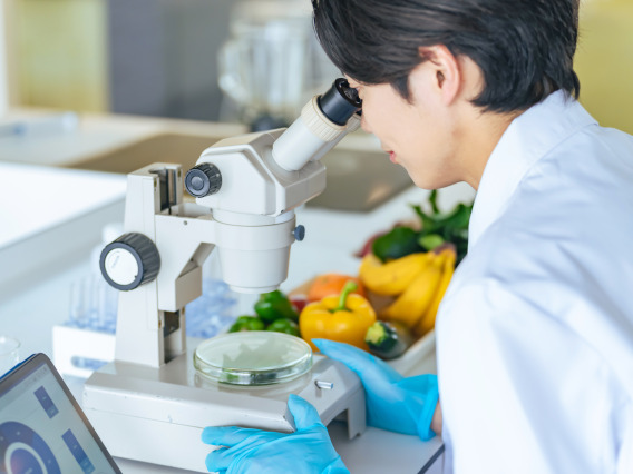 A person examining food under a microscope.