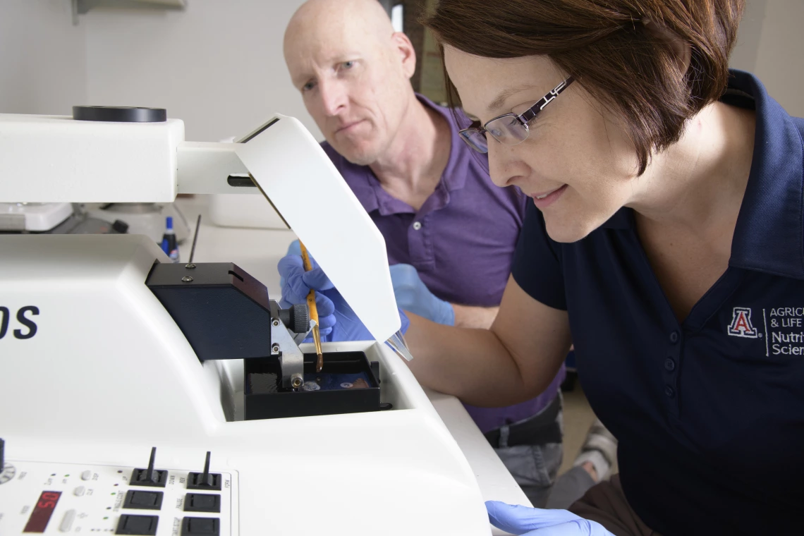 Professor Kirsten Limesand works in her lab.