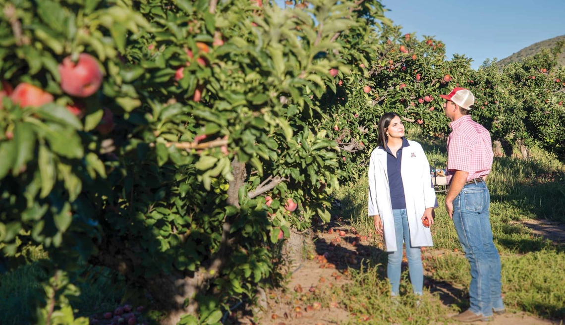 A student and a farmer standing in an apple orchard.